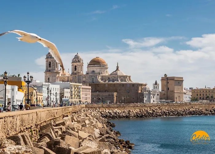 Modern Haven Loft By Time